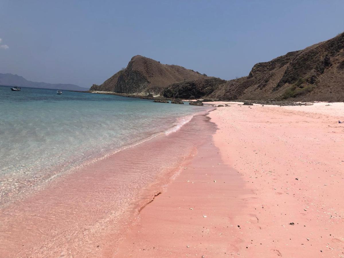 Dua Putri Komodo Homestay Buitenkant foto